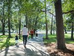 Park with green trees and people walking