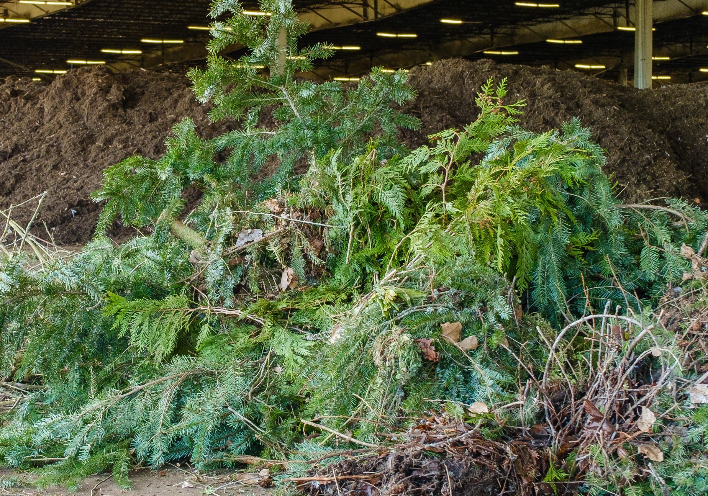 Services Collecte Des D chets Commerciaux Et R sidentiels Waste services-collecte-des-d-chets-commerciaux-et-r-sidentiels-waste