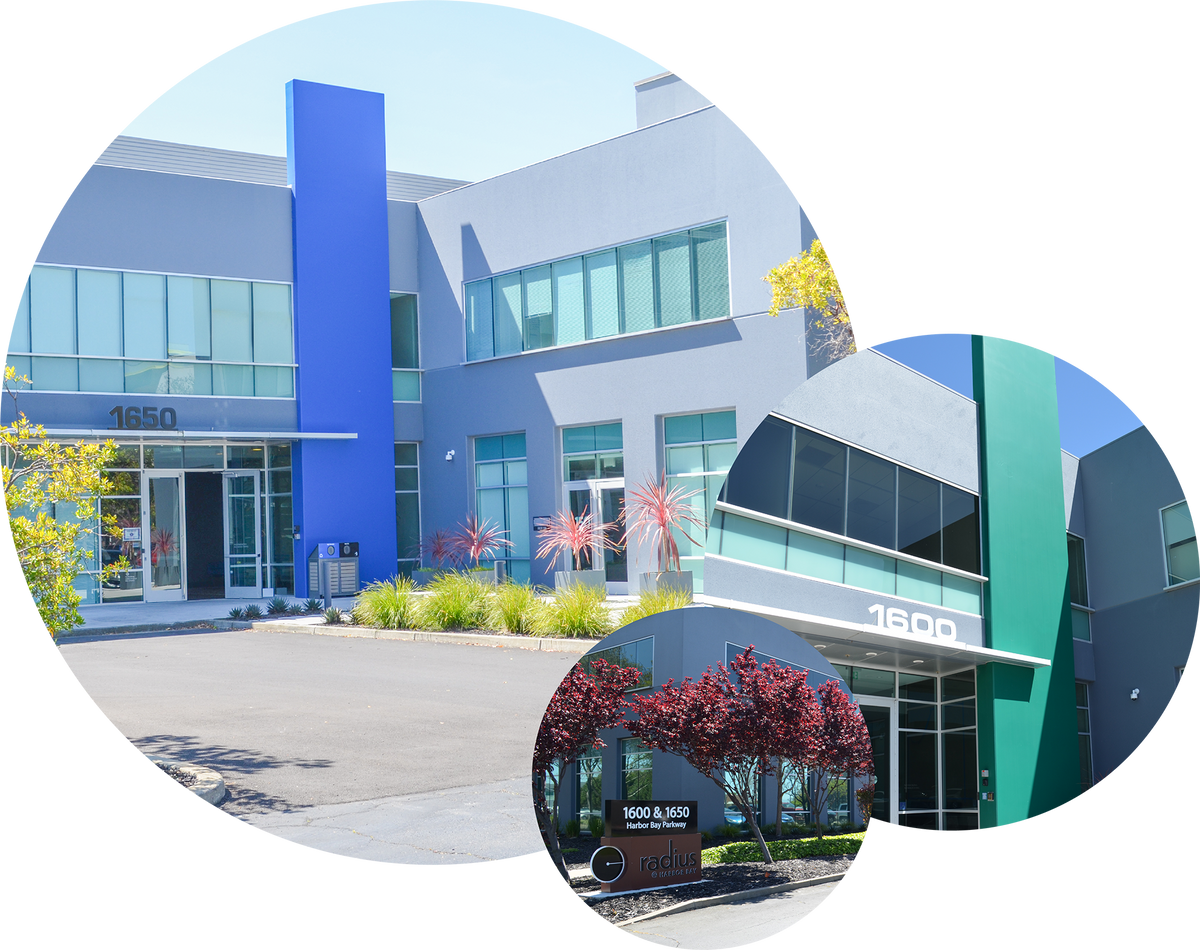 Radius Radius Harbor Bay Parkway radius-radius-harbor-bay-parkway